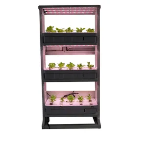 Cabinet type hydroponic home used growing leafy vegetables intelligent vegetable plant planter