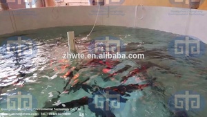 Méné − système d'écoulement de poissons chat africain, sur mesure, équipement professionnel, pour poissons - Product Image 6