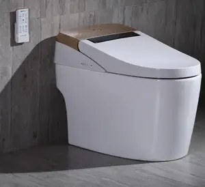 Intelligenter Toiletten sitz mit Wasch funktion