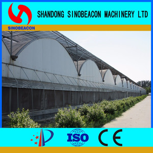 China Popular <span class=keywords><strong>de</strong></span> la Construcción <span class=keywords><strong>de</strong></span> <span class=keywords><strong>Invernaderos</strong></span> - Product Image 5