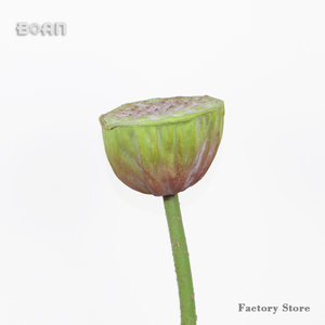 لمسة حقيقية زنبق ماء زنابق لوتس جراب بذور لحفل الزفاف المنزل - Product Image 4