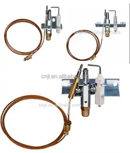 Pilot Burner /Pellet Burner Controller/pilot Assembly