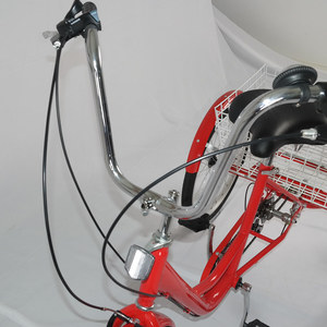 Goedkope Volwassen 3 Wiel Driewieler Met 24 "Opvouwbare Bastet Familie Bakfiets Driewieler/Boodschappenfiets Gebruikt Voor Volwassen Cargobike Gw7001 - Product Image 4