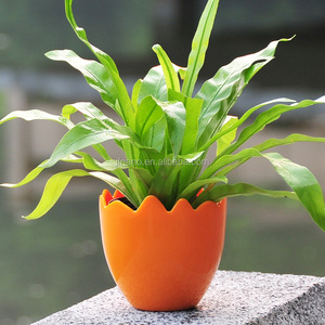 กระถางดอกไม้พลาสติกสีสันสดใส,อุปกรณ์สำหรับสวน - Product Image 4