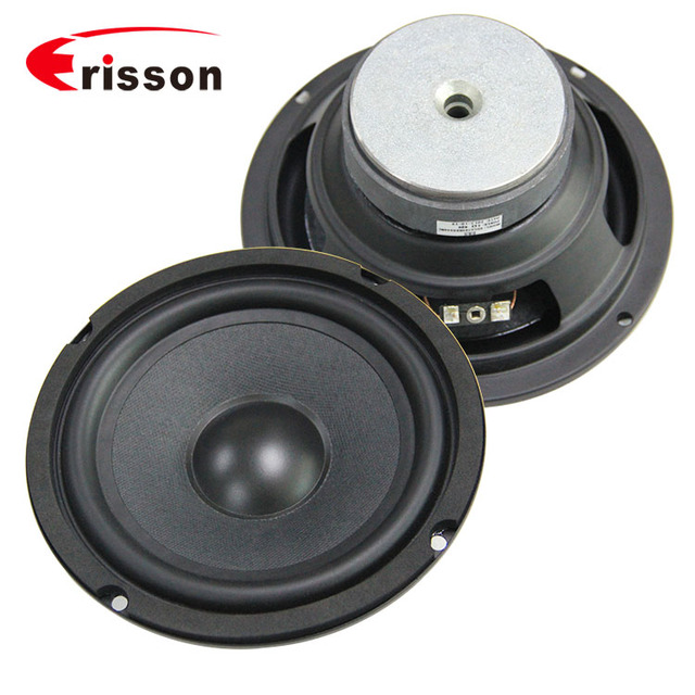 OEM 40W Midbass 6.5 Inch Iron Woofer Speaker