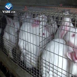 Prix d'usine Grande <span class=keywords><strong>cage</strong></span> à lapins à 12 cages pour élevage au Kenya - Product Image 3