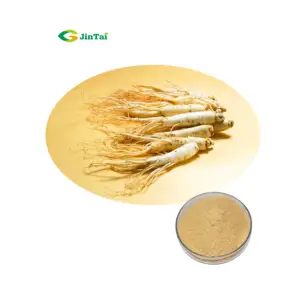 Ginseng Root Extract Ginsenoside red korean gingeng extract