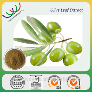 La muestra libre del surtidor de China <span class=keywords><strong>a</strong></span> base de hierbas caliente extracto oleuropeína 20% oliva extracto - Product Image 1