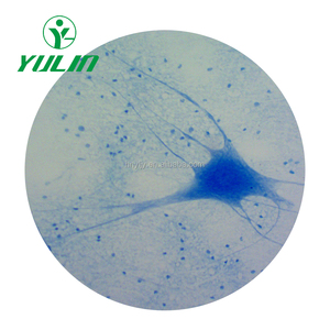 Leber histologie vorbereitet objektträger mit CE zertifikat - Product Image 5