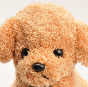 Poupées de chiot mignonnes bouclées de 20CM, chiens en peluche <span class=keywords><strong>pour</strong></span> animaux de compagnie, jouets doux <span class=keywords><strong>pour</strong></span> enfants, cadeaux d'<span class=keywords><strong>anniversaire</strong></span> - Product Image 5