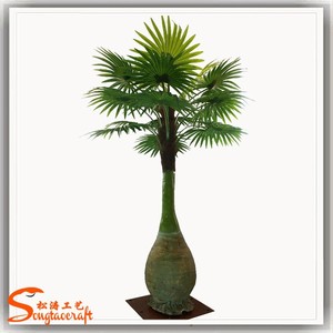 Tutti i Tipi di <span class=keywords><strong>Piante</strong></span> Tropicali Artificiali, Palme e <span class=keywords><strong>Piante</strong></span> all'Ingrosso, Palma Bottiglia Decorativa da Giardino in <span class=keywords><strong>Vendita</strong></span> - Product Image 3