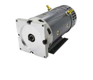 מלגזות מברשת פחמן מנוע DC 24 v 3HP עם החליף קל - Product Image 4