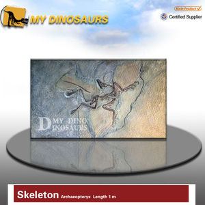 Esqueleto de Dinosaurio de Fibra de Vidrio My <span class=keywords><strong>Dino</strong></span> D09, Placa Fósil de Archaeopteryx - Product Image 4