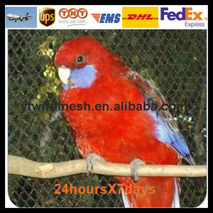 Chine 2014 fait main douce inoxydable <span class=keywords><strong>filet</strong></span> oiseaux pour fraises - Product Image 1