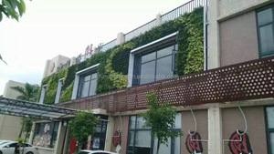 surtidor de China al por mayor decoración del jardín <span class=keywords><strong>pared</strong></span> planta artificial verde artificial <span class=keywords><strong>pared</strong></span>/jardín de la <span class=keywords><strong>pared</strong></span> <span class=keywords><strong>vertical</strong></span> - Product Image 4