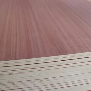19mm ply board price list for furniture plywood