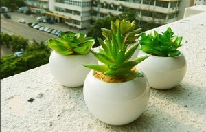 Plantas Suculentas Artificiales Verde Sin Maceta <span class=keywords><strong>Flor</strong></span> de Imitación Suculentas Mini <span class=keywords><strong>Echeveria</strong></span> Selecciones Tallos a Granel PARA LA Decoración Interior del Hogar - Product Image 5