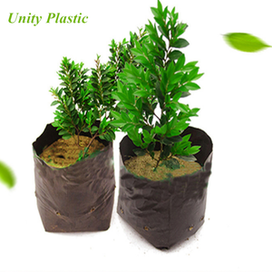 Sacchetti in Plastica Bianca e Nera <span class=keywords><strong>per</strong></span> Piante, Sacchetti in Plastica <span class=keywords><strong>per</strong></span> Vivaio e Serra - Product Image 6