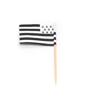 Decorate Disposable Party Toothpicks Customize A Variety Of Flag LOGO Toothpicks Cocktail Picks