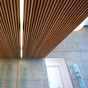 Suspendu de Plafond Acoustique Décoratif Panneau de Plafond Acoustique de Plafond de Chicane Pour Le <span class=keywords><strong>Stade</strong></span> De Sport - Product Image 6