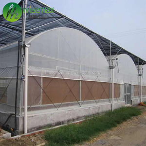 Grande serre à melon à tunnel multi-travée à cadre galvanisé préfabriqué monocouche avec couvercle en PE - Product Image 6