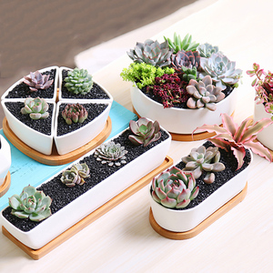 Planteur <span class=keywords><strong>blanc</strong></span> en céramique pour décoration de jardin, Pot de <span class=keywords><strong>fleurs</strong></span> plantes avec Cactus en céramique, avec plateau en bambou (<span class=keywords><strong>rectangulaire</strong></span>), offre spéciale - Product Image 6