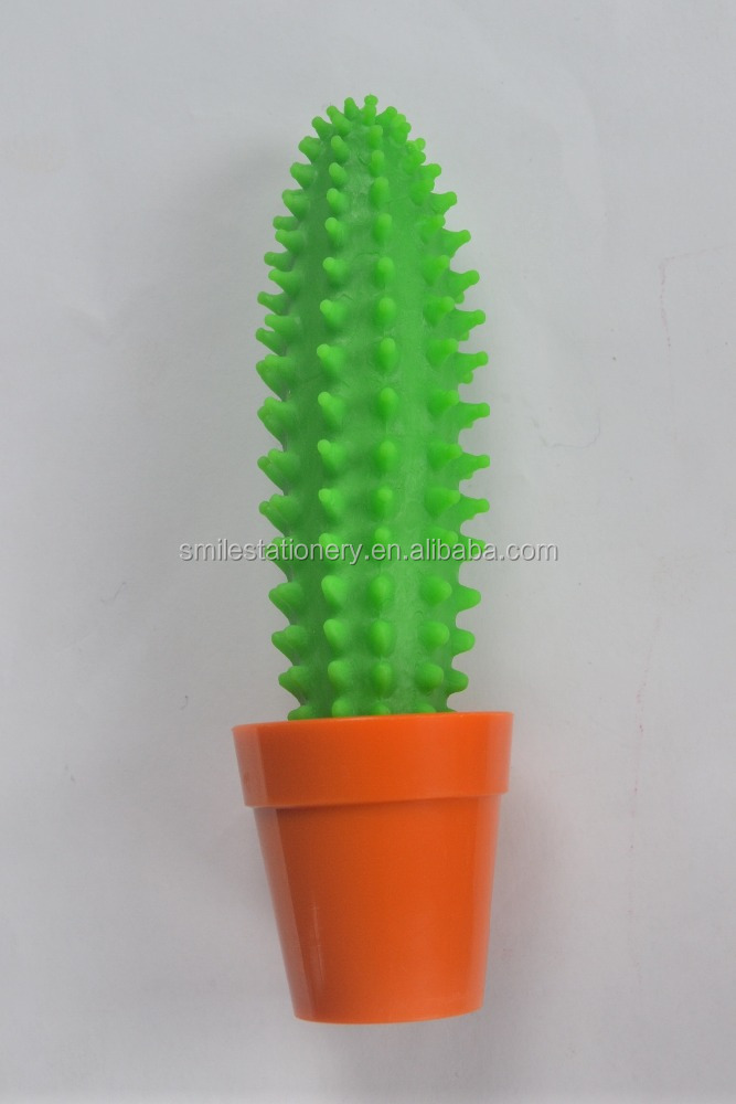 kaktus euphorbia acrurensis Euphorbia Acrurensis  Statement Cactus, 7075cm