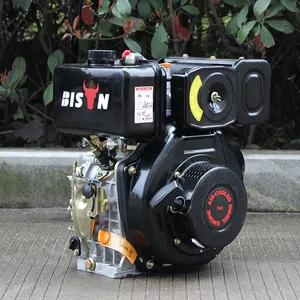 BISON-motor diésel de riego de un solo cilindro, bomba de motor diésel para agricultura, Venta de motores pequeños