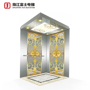 中国供应商 ZhuJiangFuJi Oem Home Vlla 电梯迷你电梯电梯印度