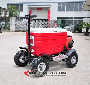 China Made CE Approved scooter cooler