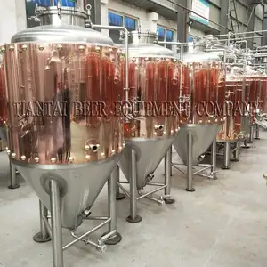 500 Lít 5HL 4BBL Thiết Bị Sản Xuất Bia Đồng Đỏ Đôi Tường Glycol Jacketed Top Manway Bia Lên Men Tank Cho Brewbar