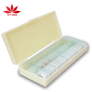 Cơ bản Khoa học Slide sinh học mẫu vật Slice 50 vĩnh viễn mảnh của tế bào kính hiển vi Slide Set, sinh học tế bào meiosis Slide Set - Product Image 5