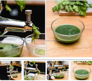 Hot <strong>Sale</strong> Hand Operate <strong>Wheatgrass</strong> Manual <strong>Juicer</strong> - Product Image 6