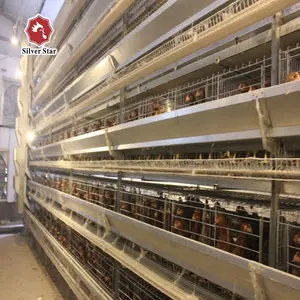 High quality A H Type Chicken Layer Cage For Poultry House
