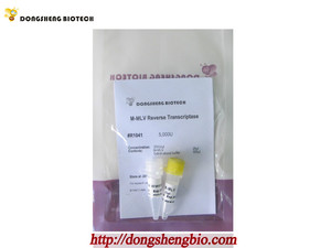 Kit M - MLV transcripción inversa - Product Image 1