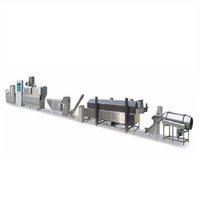 Volledig Automatische Hoge Efficiëntie Chips Productielijn Maken Patoto Chips Machine