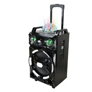 Professional Speaker 12 Inch with Disco Light Effect Subwoofer Speaker Box Portable Karaoke DJ Speaker