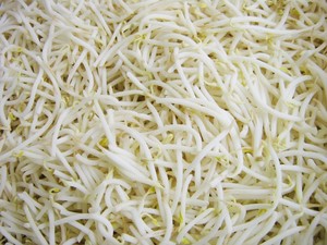 Sinocharm BRC A وافق IQF لوبياء شعاعية خضراء اللون تنبت المجمدة الأخضر الفول تنبت - Product Image 5