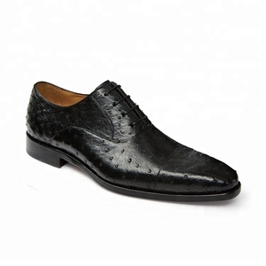 Amazon.com: Nuevo Mens en relieve Cocodrilo/Avestruz Tenni zapato suave  suela : Ropa, Zapatos y Joyería