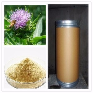 Alta calidad del agua cardo mariano extracto en polvo - Product Image 6