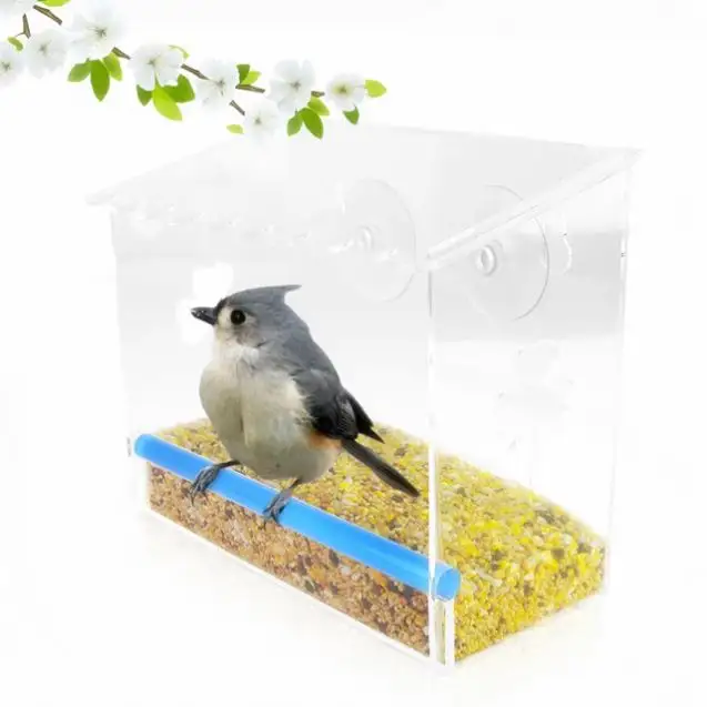 ODM Design Perspex Automatic Pigeon Water Feeder Customized Acrylic Powder Feeder OEM Lucite Food Feeder