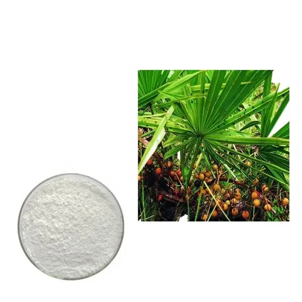 Serenoa-ácido graso 25%, antibronquitis, Repens, p.e. Extracto de polvo de Palmetto de sierra