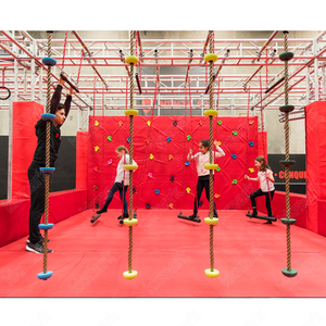 Parcours d'obstacles <span class=keywords><strong>Ninja</strong></span> personnalisé pour les champions américains de <span class=keywords><strong>Ninja</strong></span> Warrior - Product Image 1