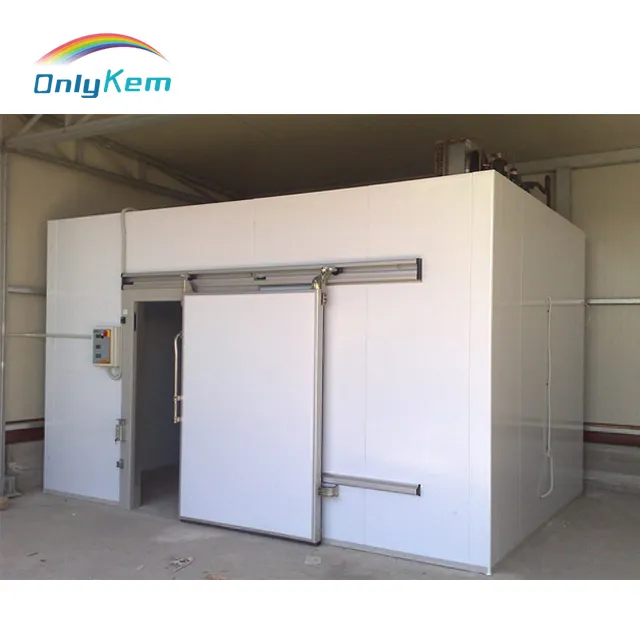 100 ton cold storage room for meat