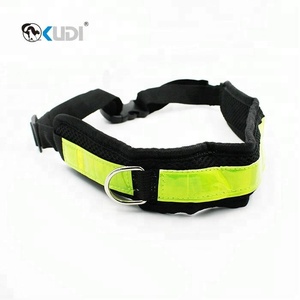 Manos Libres perro Bungee Correa Walker plomo con bolso de la cintura - Product Image 3