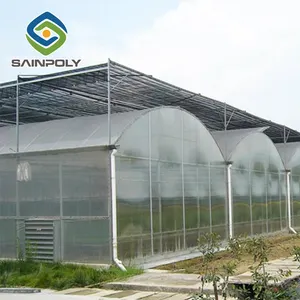 Large agricultural film greenhouse mushroom farm used for sale