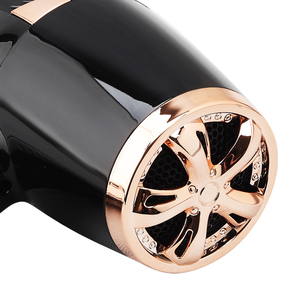 Secador de pelo Fabricante AC & DC Big Power Professional Fashion Salon Nuevo 2025 - Product Image 6
