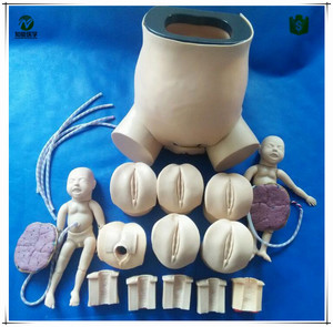 <span class=keywords><strong>Recursos</strong></span> Didácticos BIX-F50 simulador de nacimiento del parto con todas las funciones - Product Image 2