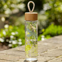 Bouteille d'eau en verre borosilicate CENSUN 500 ml, tasse à thé, café, mug de voyage, thermos, gobelet à boire avec couvercle et filtre
