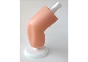 Mô Phỏng Cho Ống Soi Khớp, Dụng Cụ Đào Tạo Nội Soi Cho Sinh Viên Y Khoa - Product Image 6